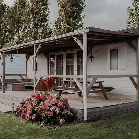 Breezand Chalet Tulpenweide - Recreatie מראה חיצוני תמונה
