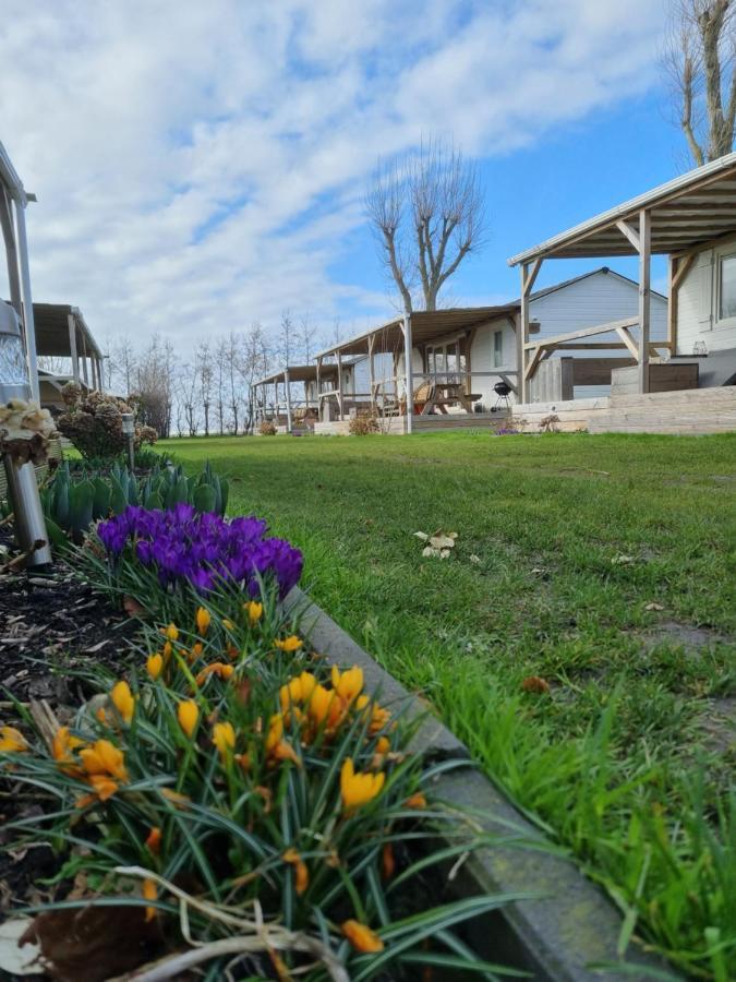 Breezand Chalet Tulpenweide - Recreatie מראה חיצוני תמונה